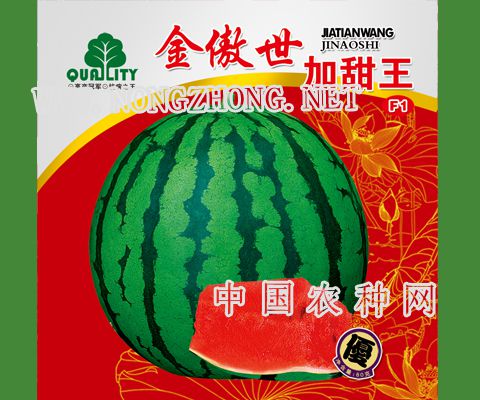 金傲世加甜王